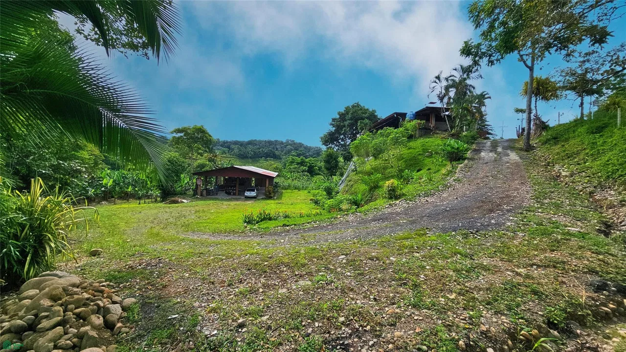 Finca Interamericana, photo 9