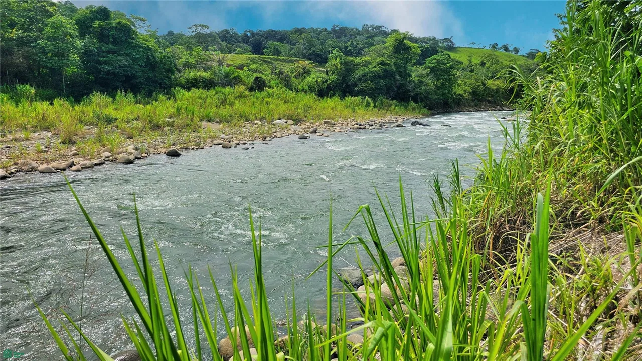 Finca Interamericana, photo 10