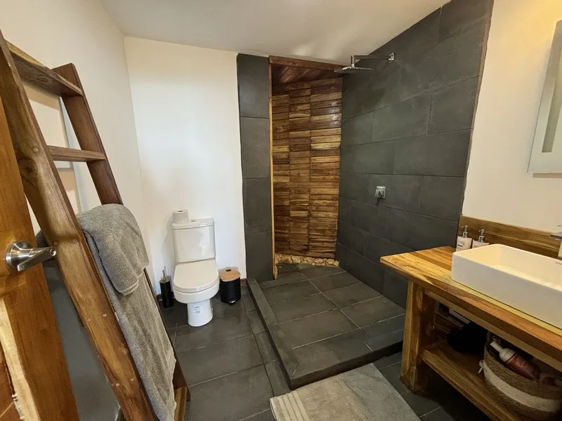 12 Bed Hotel / Leisure For Sale in Samara, photo 8