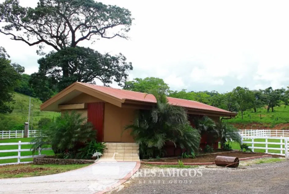 Canas Farm, photo 22