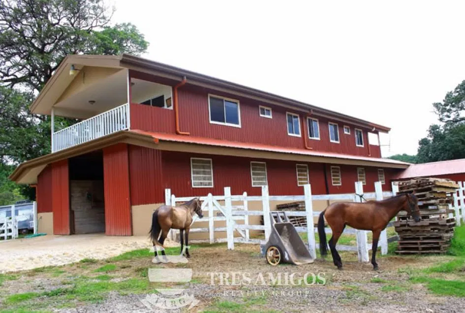 Canas Farm, photo 7