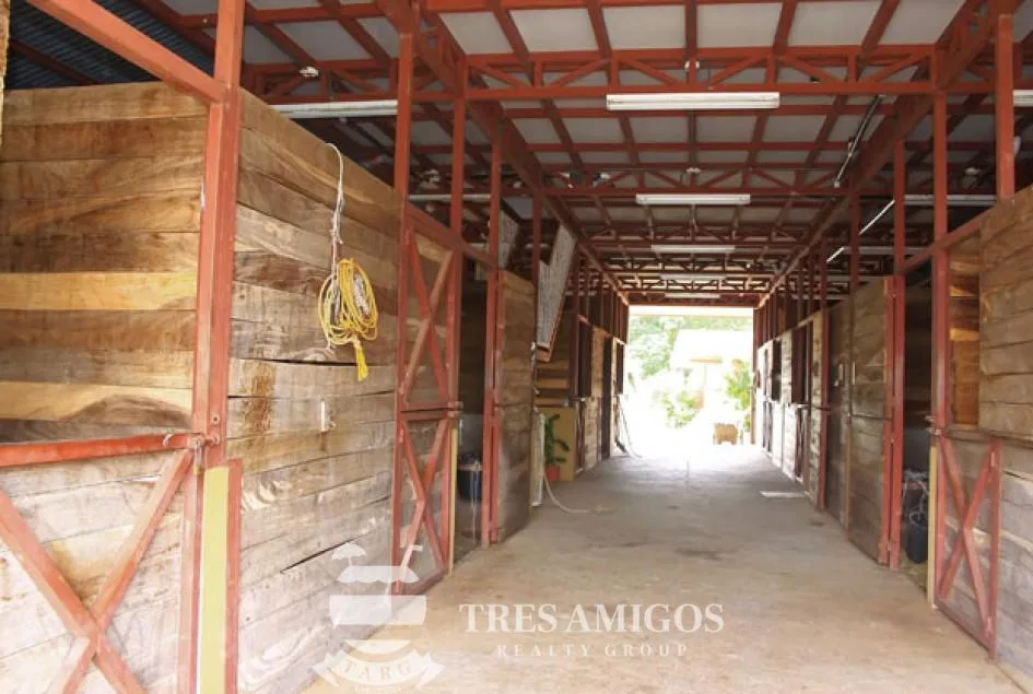 Canas Farm, photo 9