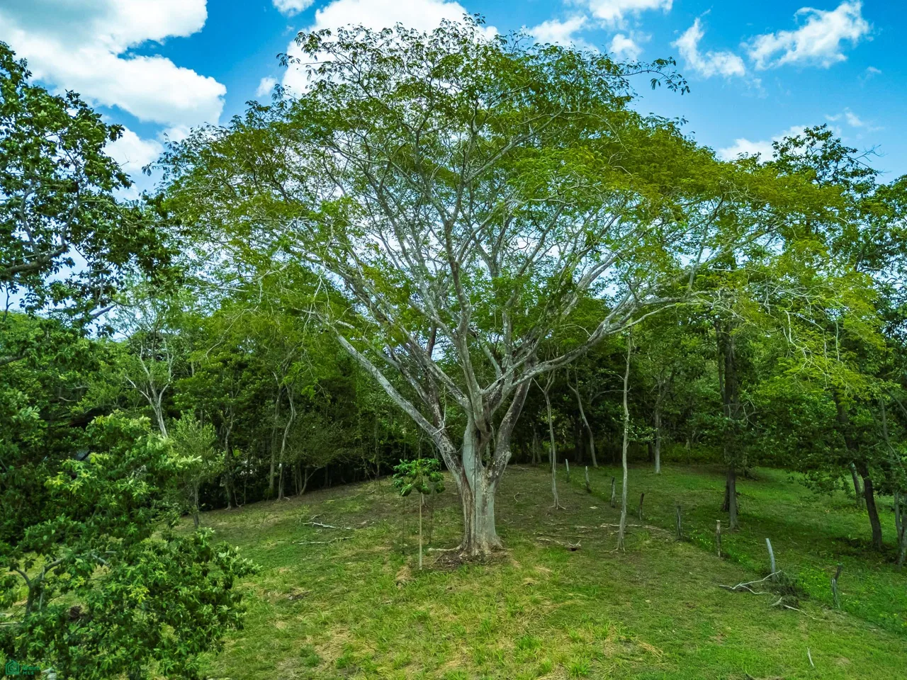 300m East Of Playa Honda Junquillal Guancaste Co Guanacaste, photo 10