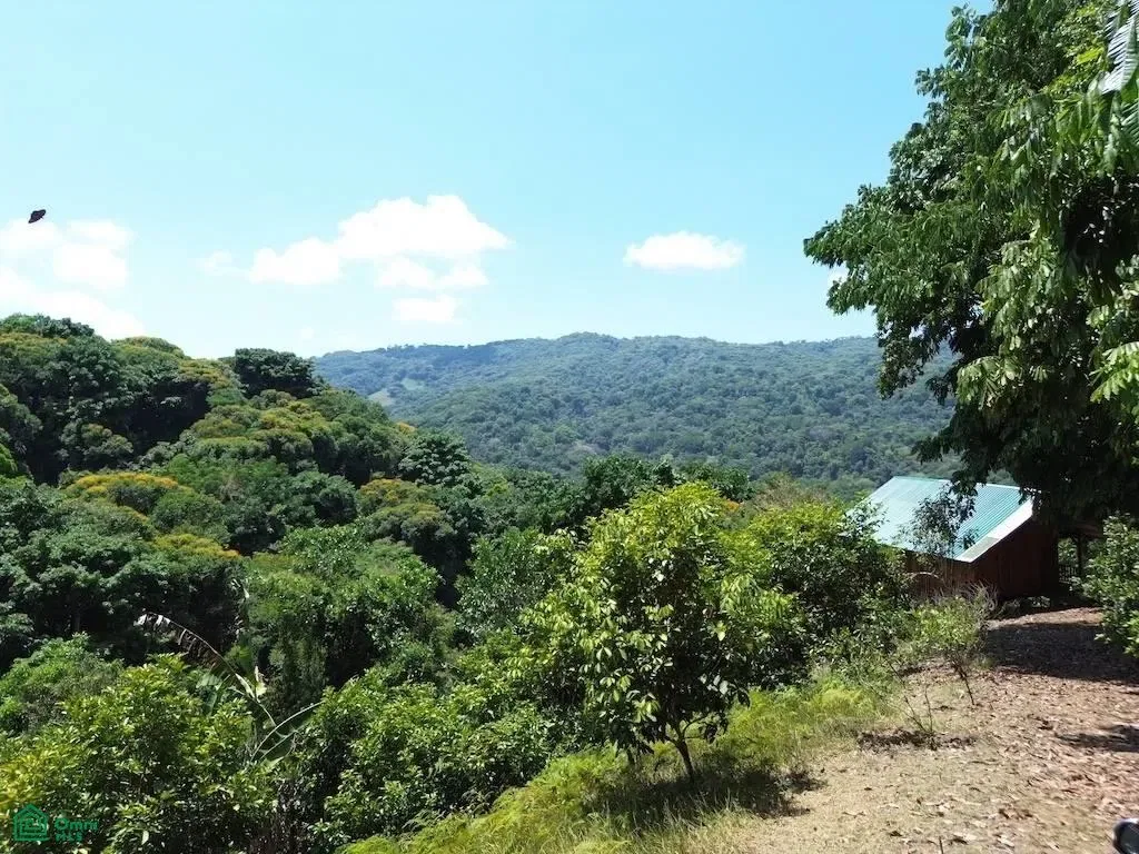 ,, Puntarenas