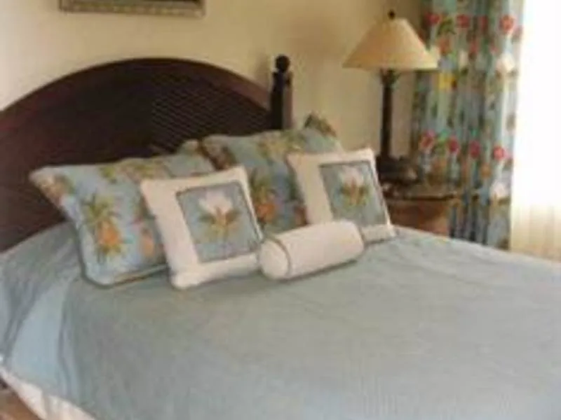 4 Bed Condo For Sale in Playas Del Coco, photo 2