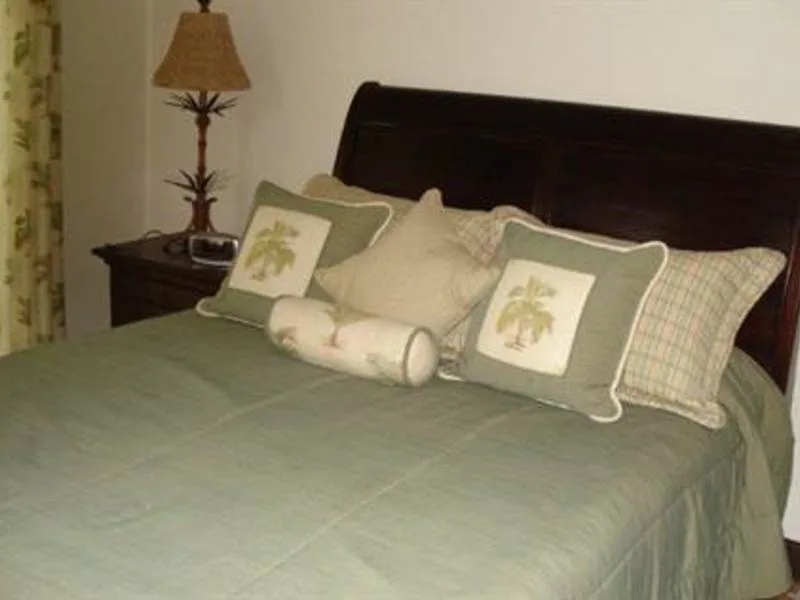 4 Bed Condo For Sale in Playas Del Coco, photo 3