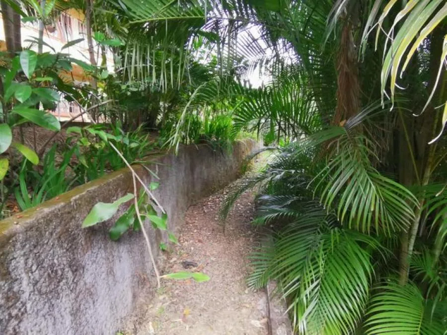 Venta de Lote en Mora, San José.  - Venta en Mora, photo 12