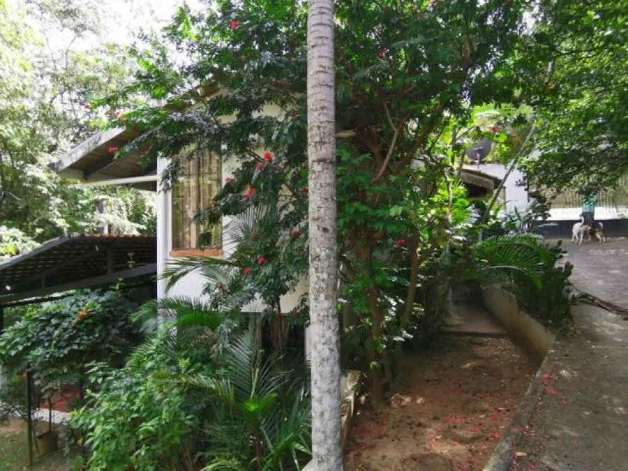 Venta de Lote en Mora, San José.  - Venta en Mora, photo 9