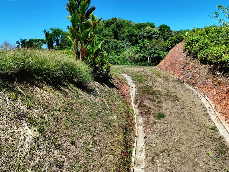 Land For Sale in Uvita, photo 13