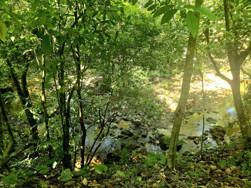 Land For Sale in Uvita, photo 3