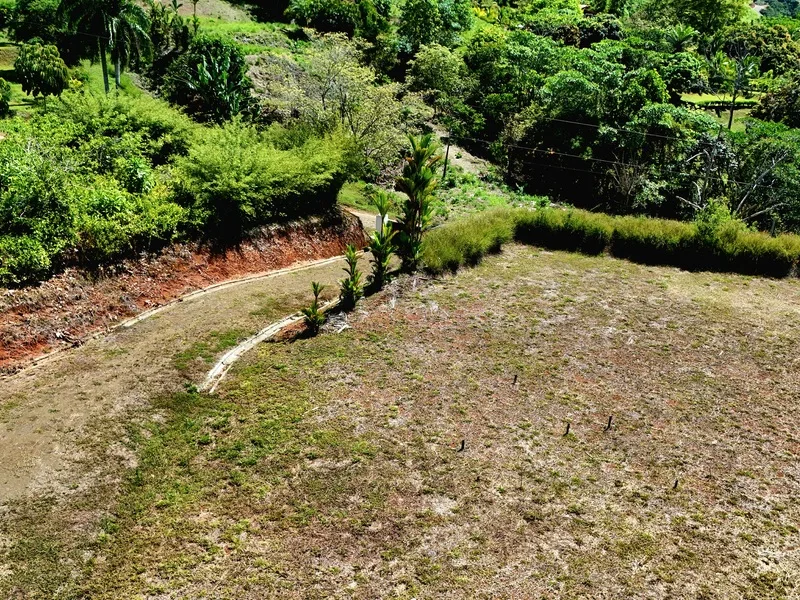Land For Sale in Uvita, photo 7