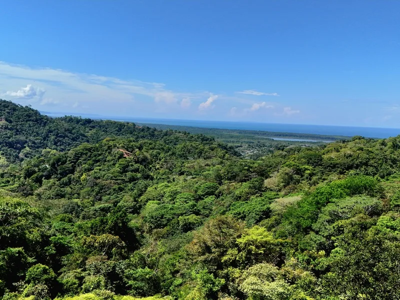 Land For Sale in Uvita, photo 8