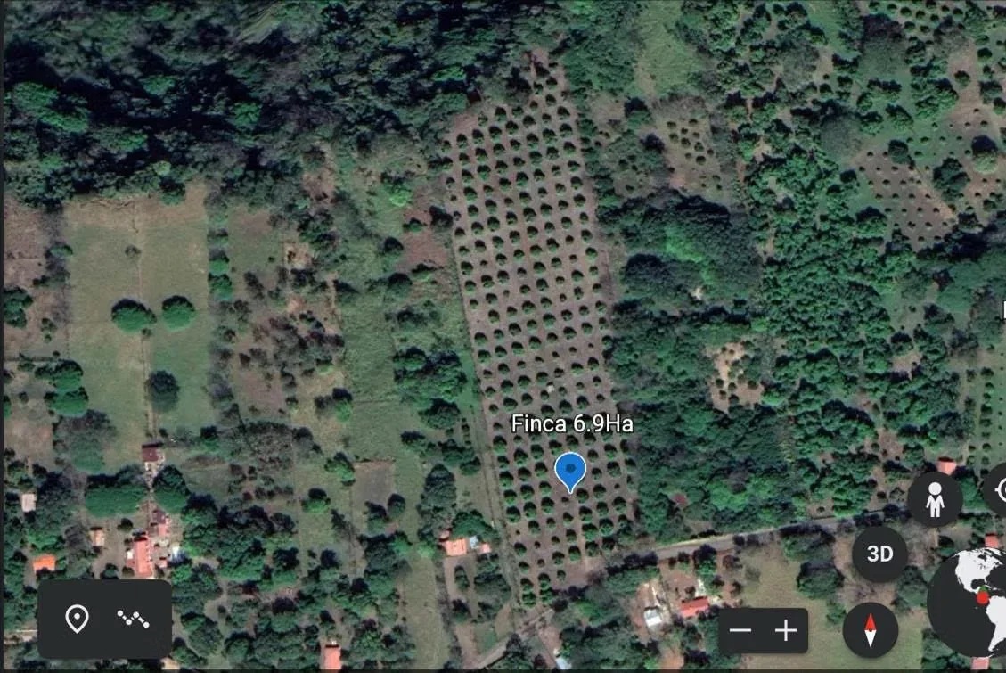 Excelente oportunidad de inversión en Turrubares. Hermosa finca agrícola de 69.532 m² (6,95 hectáreas), con plantación de mango establecida, acceso directo por calle pública ..., photo 3