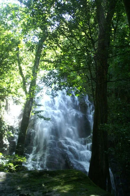 Small Mountain Hotel with camp ground: Charming B&B for Sale in the Mountains of Curubandé, Guanacaste – Nature, Tranquility, and Profitability in One Place., photo 9
