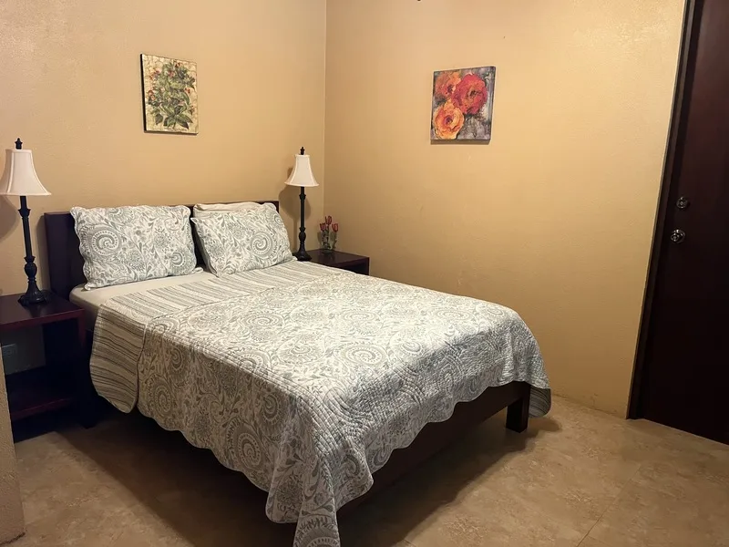 5 Bed Single Family Homes For Sale in Playa Coyote, photo 14