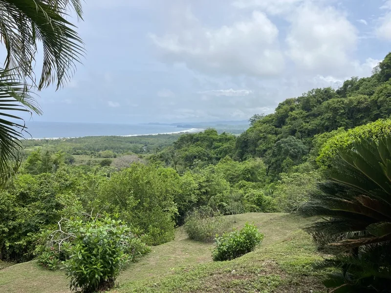 5 Bed Single Family Homes For Sale in Playa Coyote, photo 10
