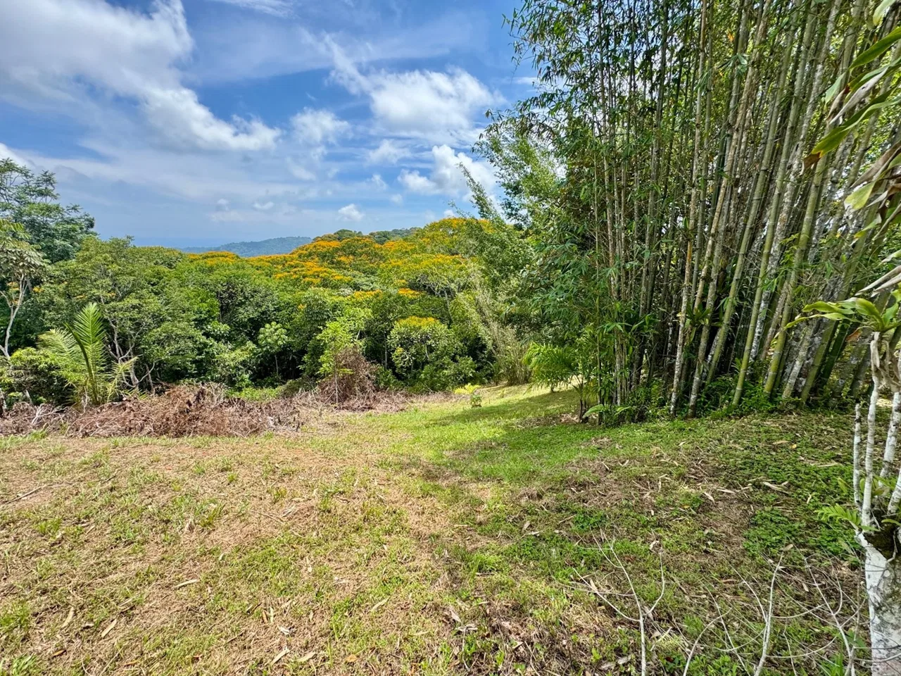 BUILDING PROPERTY WITH MOUNTAIN AND PARTIAL OCEAN VIEWS, IN PLATANILLO – 4.2 ACRES, photo 3