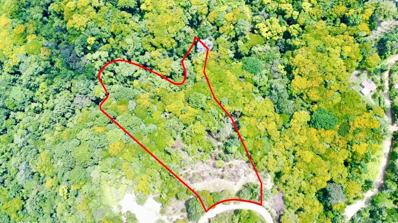 BUILDING PROPERTY WITH MOUNTAIN AND PARTIAL OCEAN VIEWS, IN PLATANILLO – 4.2 ACRES, photo 7