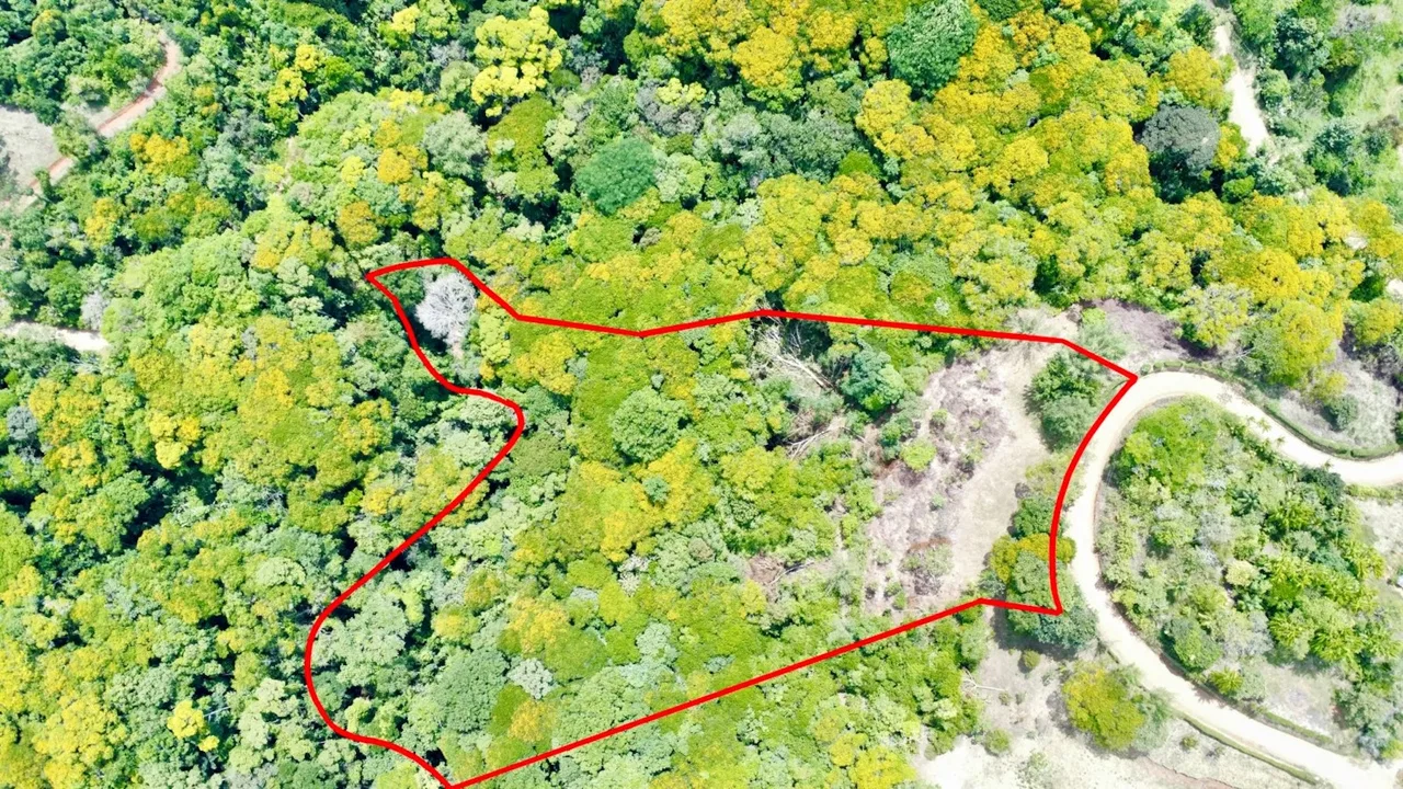 BUILDING PROPERTY WITH MOUNTAIN AND PARTIAL OCEAN VIEWS, IN PLATANILLO – 4.2 ACRES, photo 8