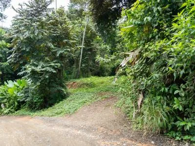Lote frente al río en vecindario atractivo en Uvita, photo 8