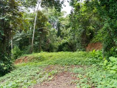 Lote frente al río en vecindario atractivo en Uvita, photo 9