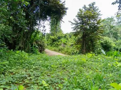 Lote frente al río en vecindario atractivo en Uvita, photo 10