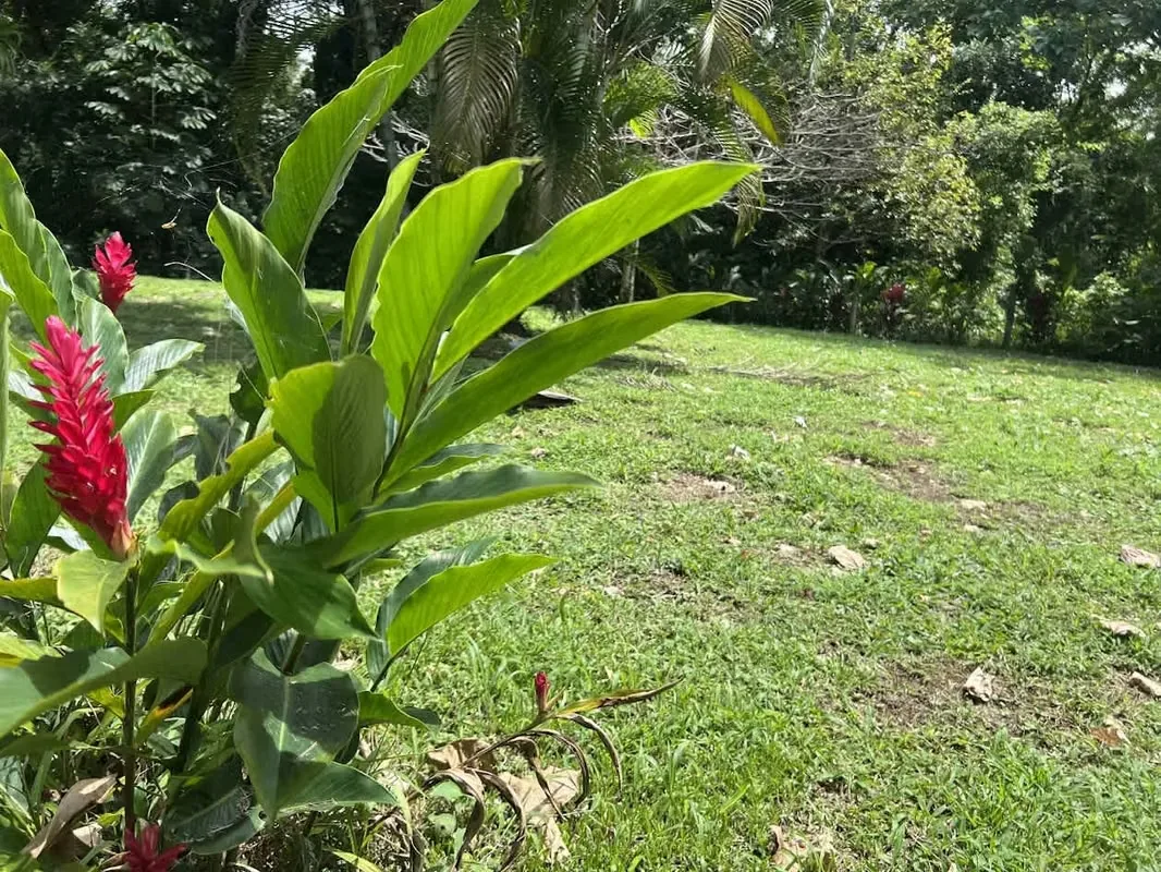 Lot for Sale in La Fortuna de San Carlos, photo 2