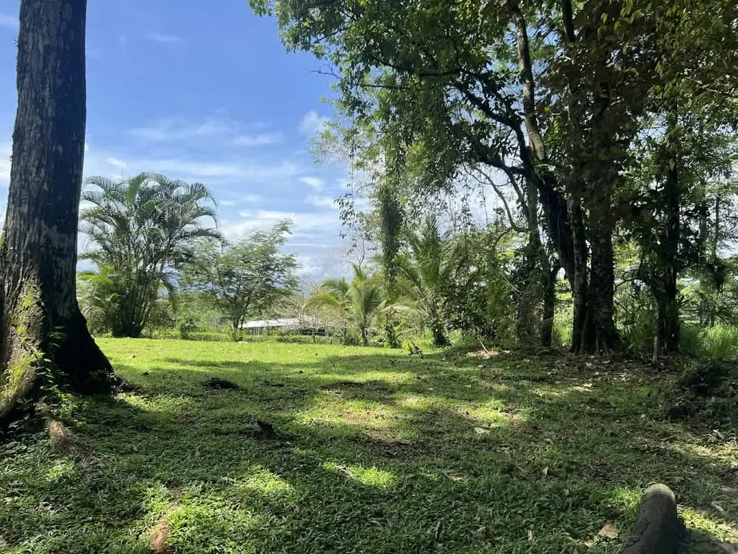 Lot for Sale in La Fortuna de San Carlos, photo 11