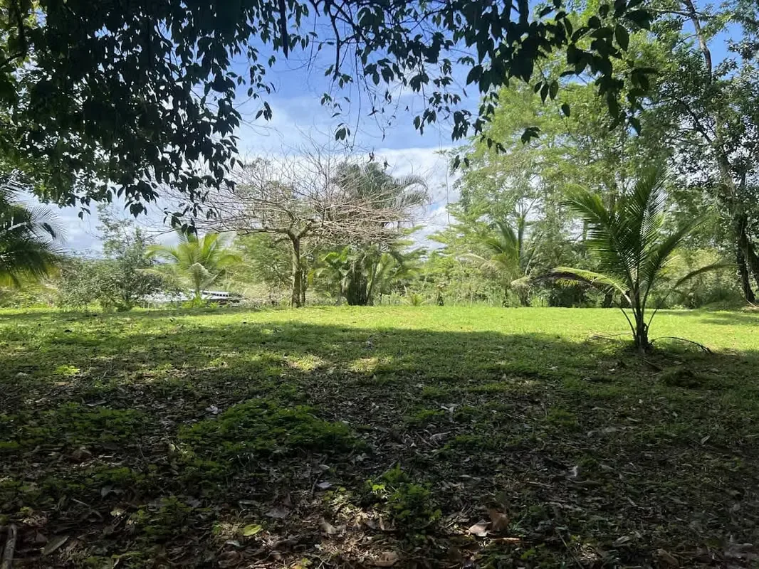 Lot for Sale in La Fortuna de San Carlos, photo 12