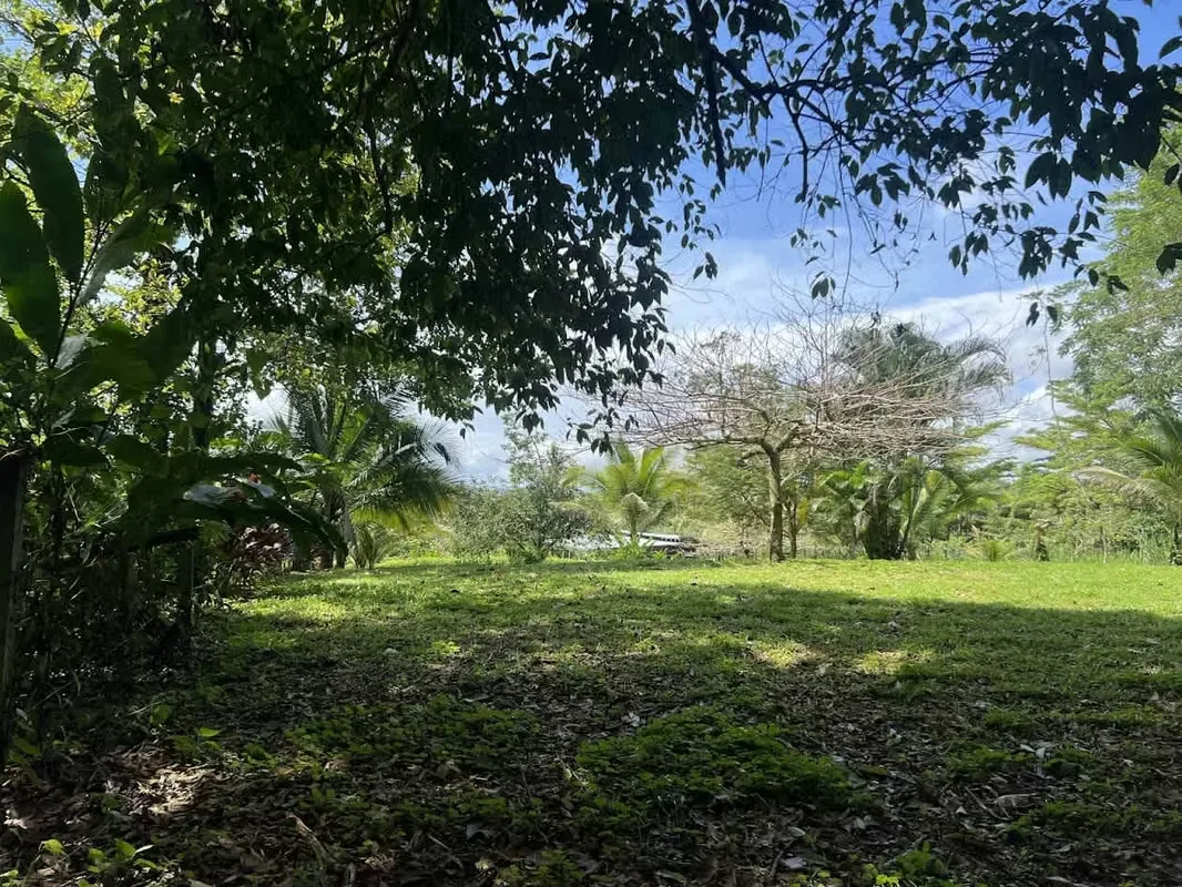 Lot for Sale in La Fortuna de San Carlos, photo 13