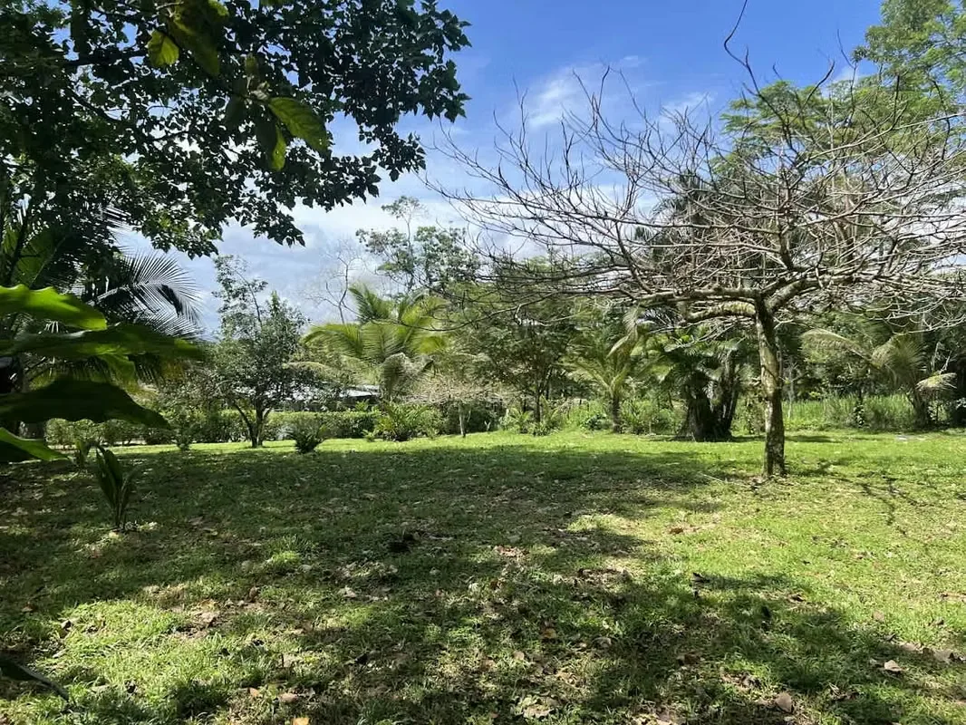 Lot for Sale in La Fortuna de San Carlos, photo 14