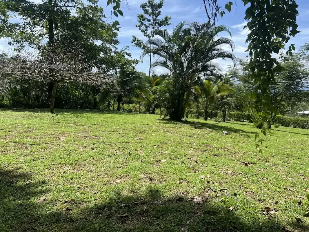 Lot for Sale in La Fortuna de San Carlos, photo 15