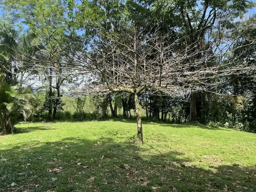 Lot for Sale in La Fortuna de San Carlos, photo 16