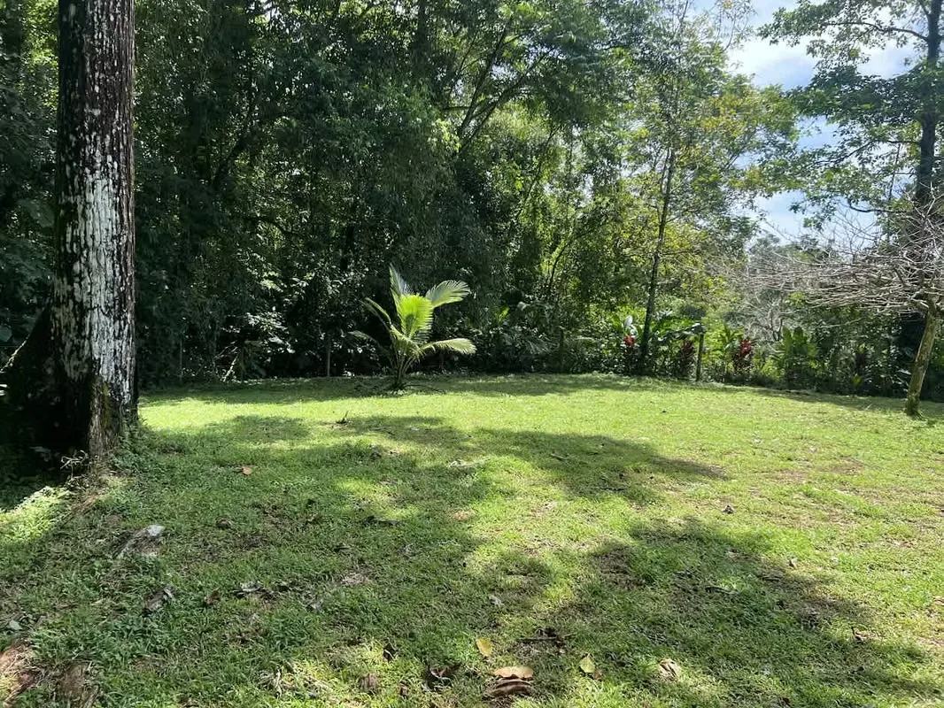 Lot for Sale in La Fortuna de San Carlos, photo 3