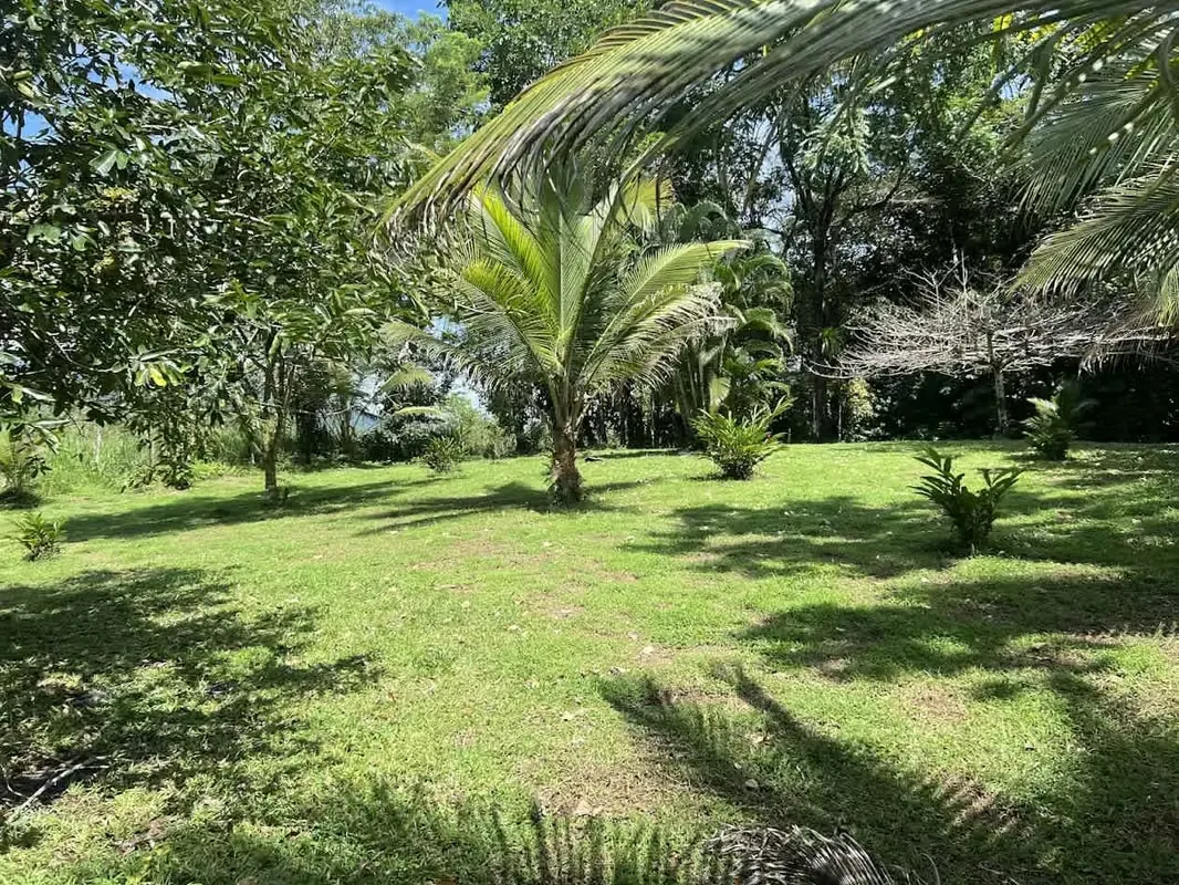 Lot for Sale in La Fortuna de San Carlos, photo 4