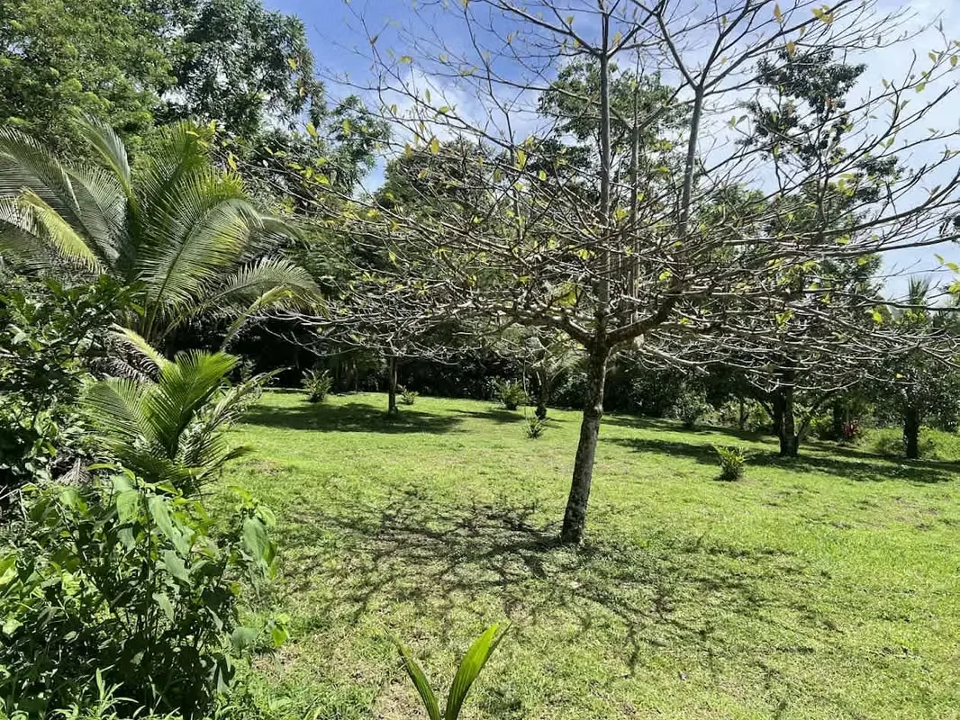 Lot for Sale in La Fortuna de San Carlos, photo 5