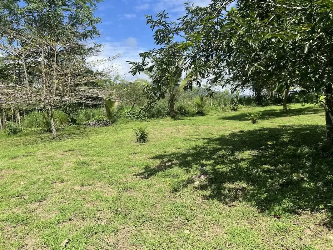 Lot for Sale in La Fortuna de San Carlos, photo 6