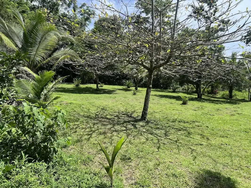 Lot for Sale in La Fortuna de San Carlos, photo 7