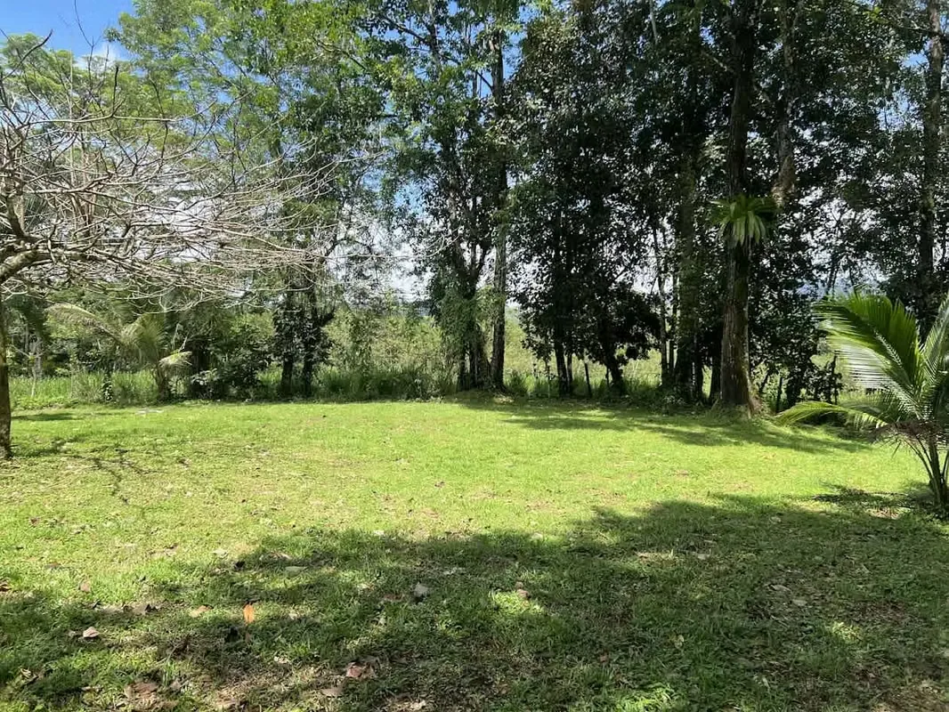 Lot for Sale in La Fortuna de San Carlos, photo 8