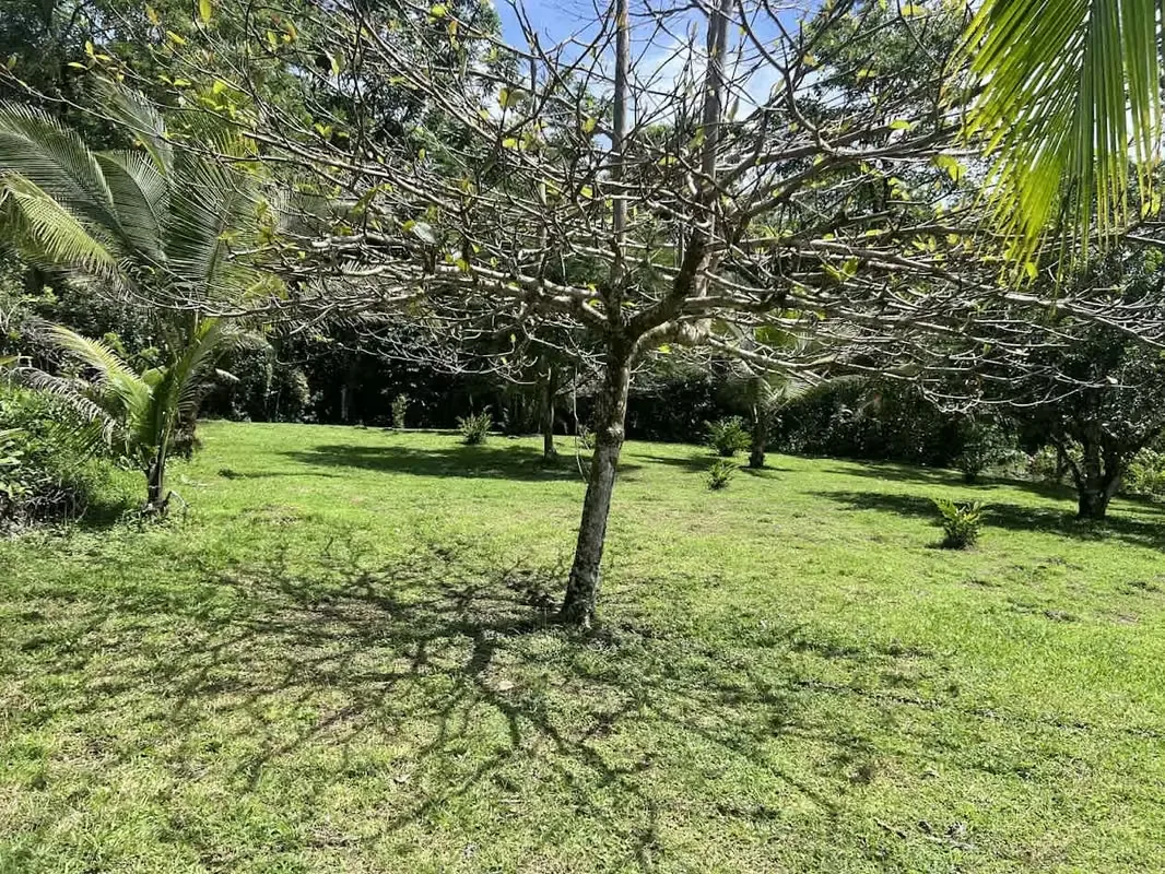 Lot for Sale in La Fortuna de San Carlos, photo 9