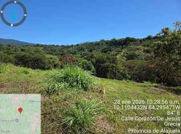 Lote en San Roque, Grecia (bien adjudicado)