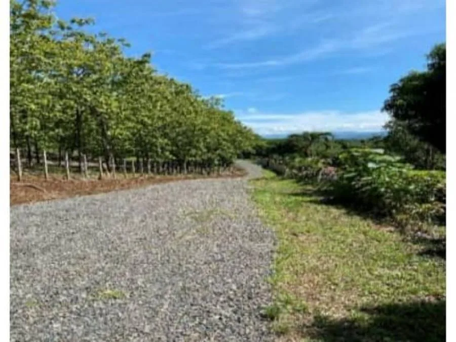 Finca en Venta en Orotina, Hermosos Paisajes 4PCU9832623 - Venta en Orotina