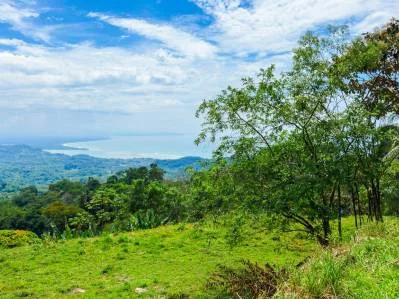 Ocean View Lot for Sale in Ojochal with Easy Access – Buildable Lot in Costa Rica, photo 2