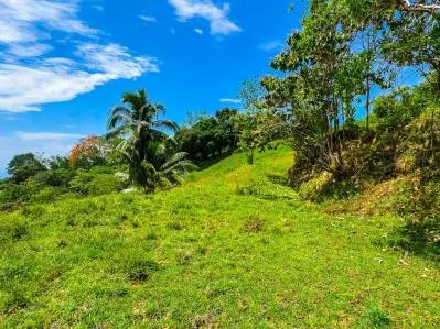 Ocean View Lot for Sale in Ojochal with Easy Access – Buildable Lot in Costa Rica, photo 3