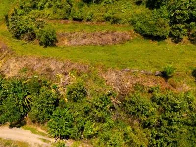 Ocean View Lot for Sale in Ojochal with Easy Access – Buildable Lot in Costa Rica, photo 4