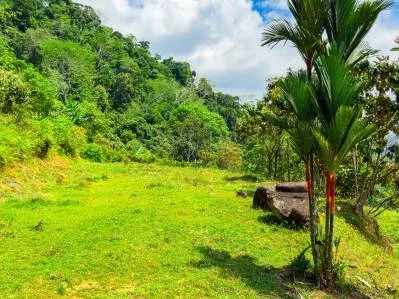 Ocean View Lot for Sale in Ojochal with Easy Access – Buildable Lot in Costa Rica, photo 8