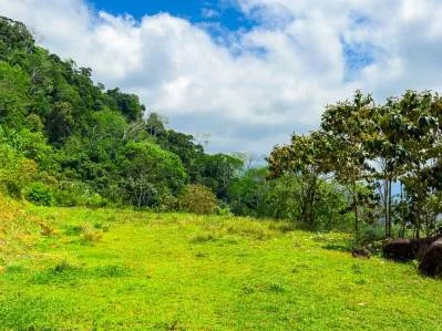 Ocean View Lot for Sale in Ojochal with Easy Access – Buildable Lot in Costa Rica, photo 9