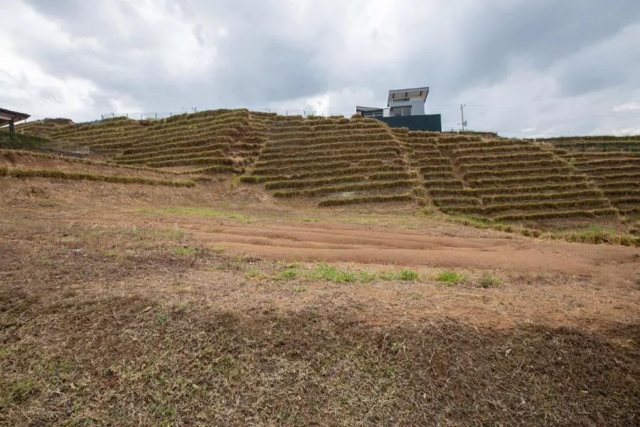 Lote en venta en Grecia, Alajuela. RAH 23-1664 - Venta en Grecia