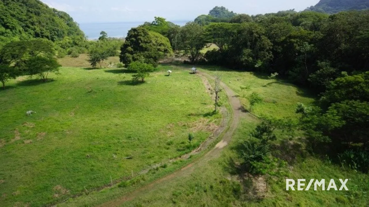 Carara Bay Development in Agujas, photo 7