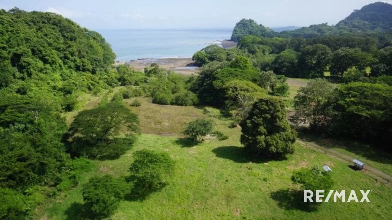 Carara Bay Development in Agujas, photo 8
